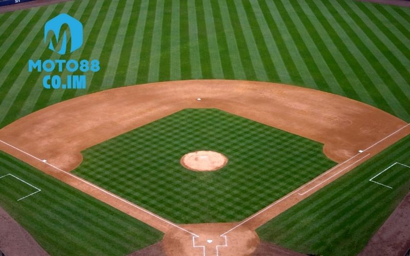 Cá cược bóng chày